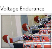Voltage Endurance Testing
